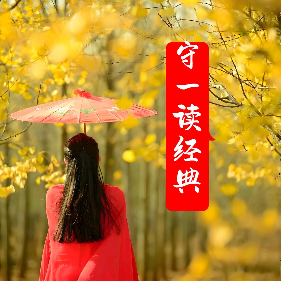 梅子经典