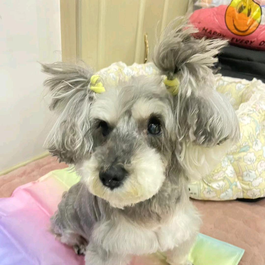 程小九2🎤(3号20:45首播)