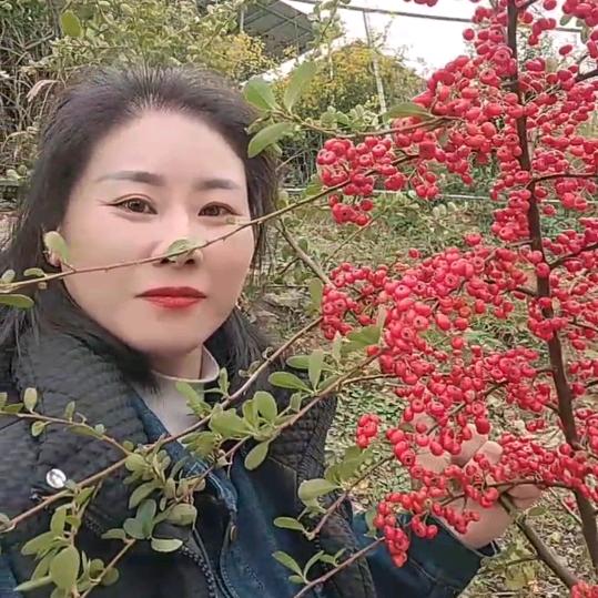 🥀᭄许你꧔ꦿᩚ一生ꦿྀ💕