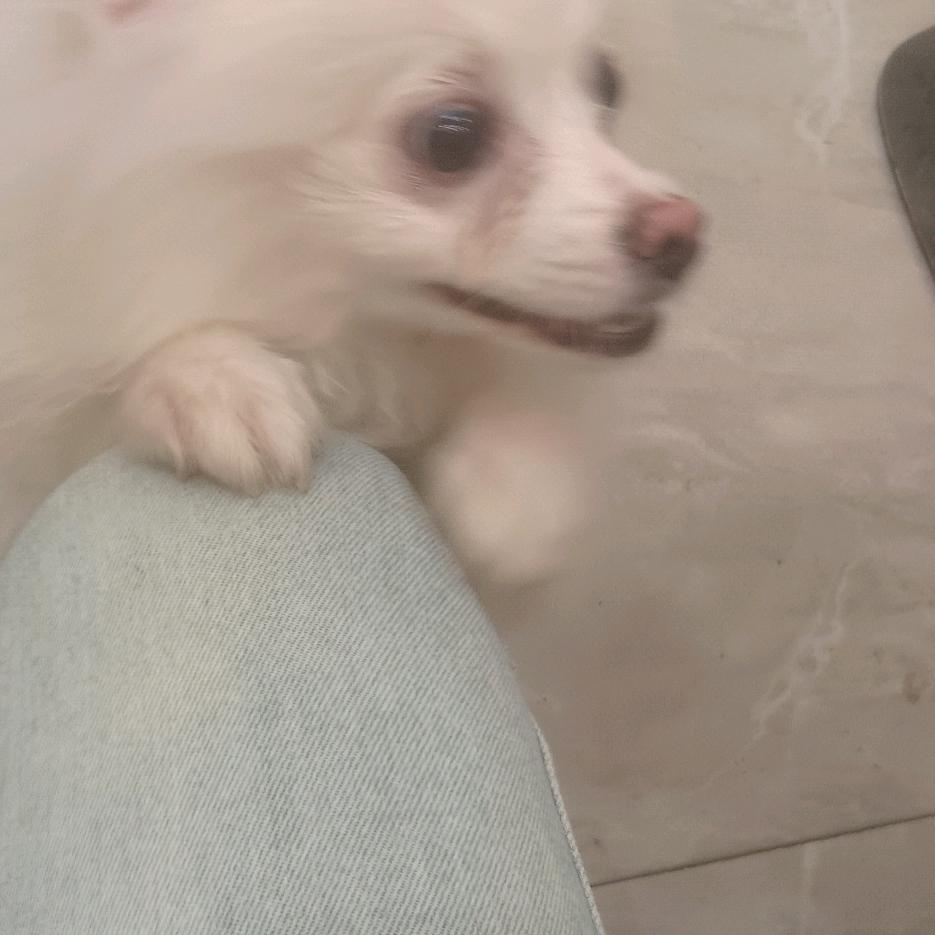 《一》只猪🐷🐷🐷