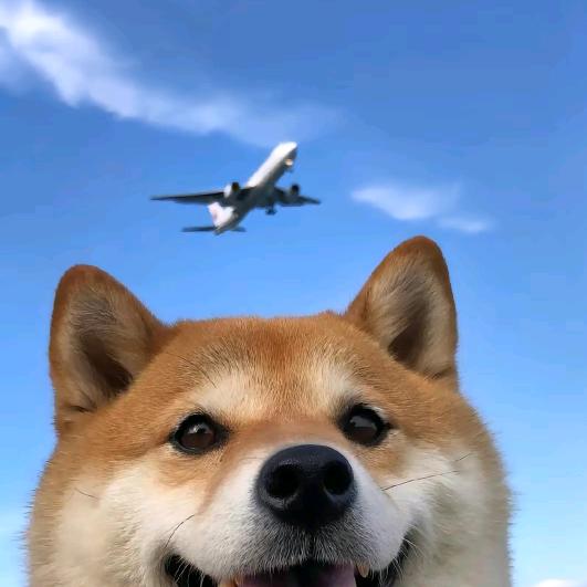 防人之心不可有