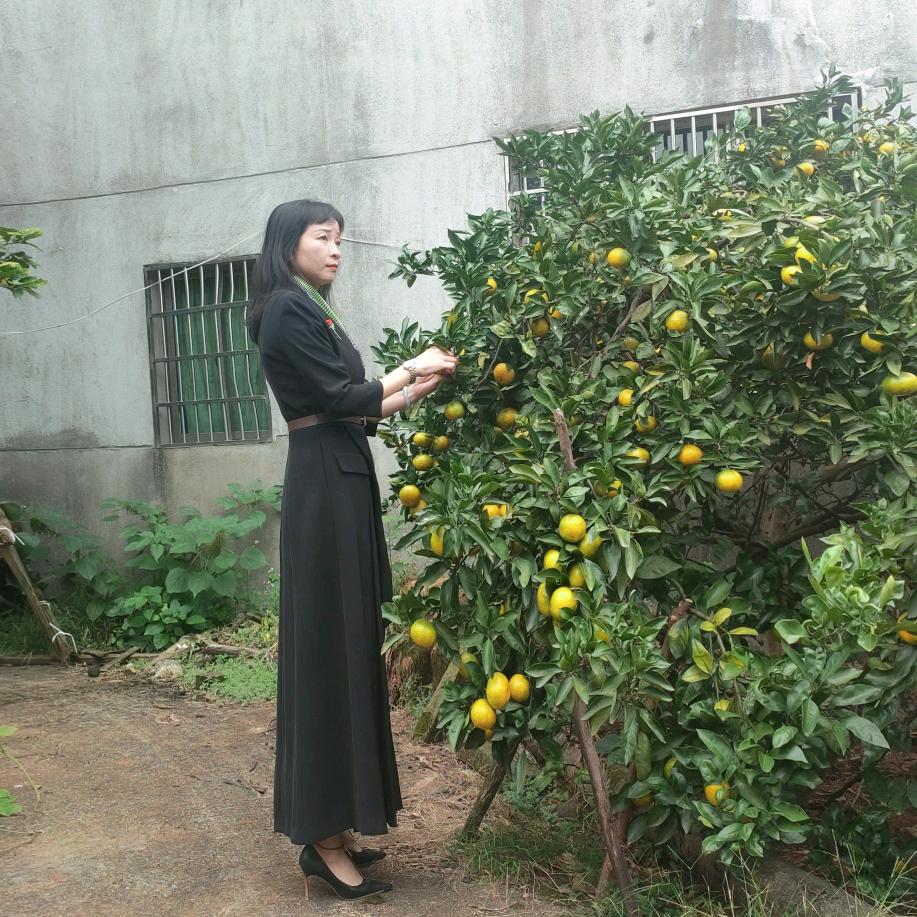 木目心