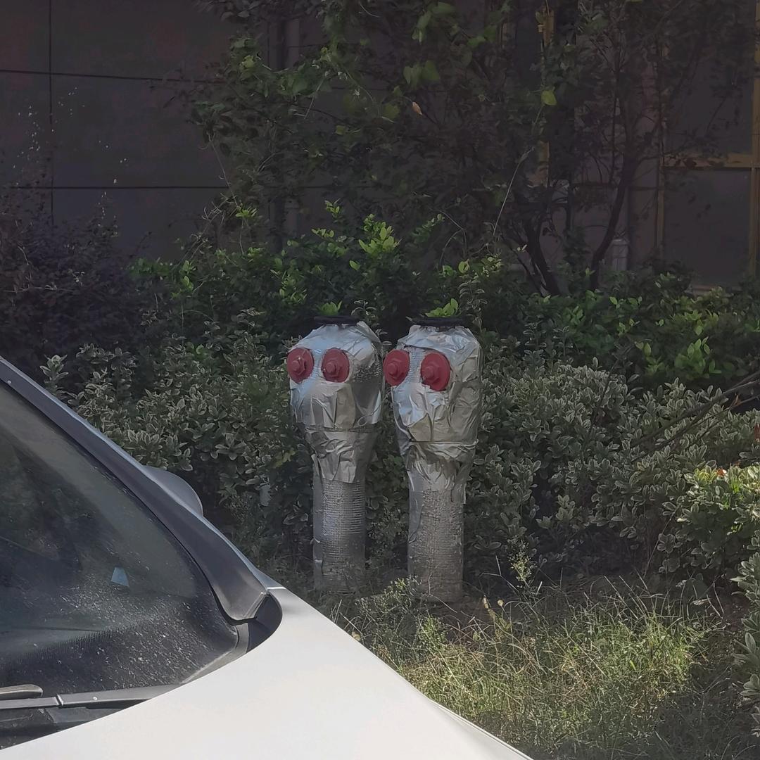 今个晚上打老虎