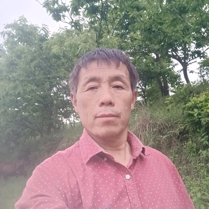 关哥（早5：10）