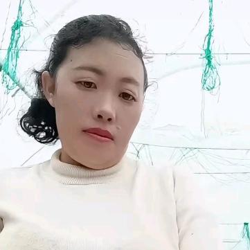 顺新念