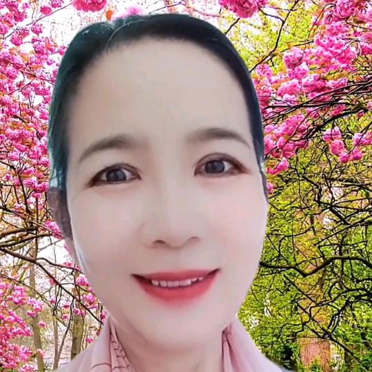 桥桥