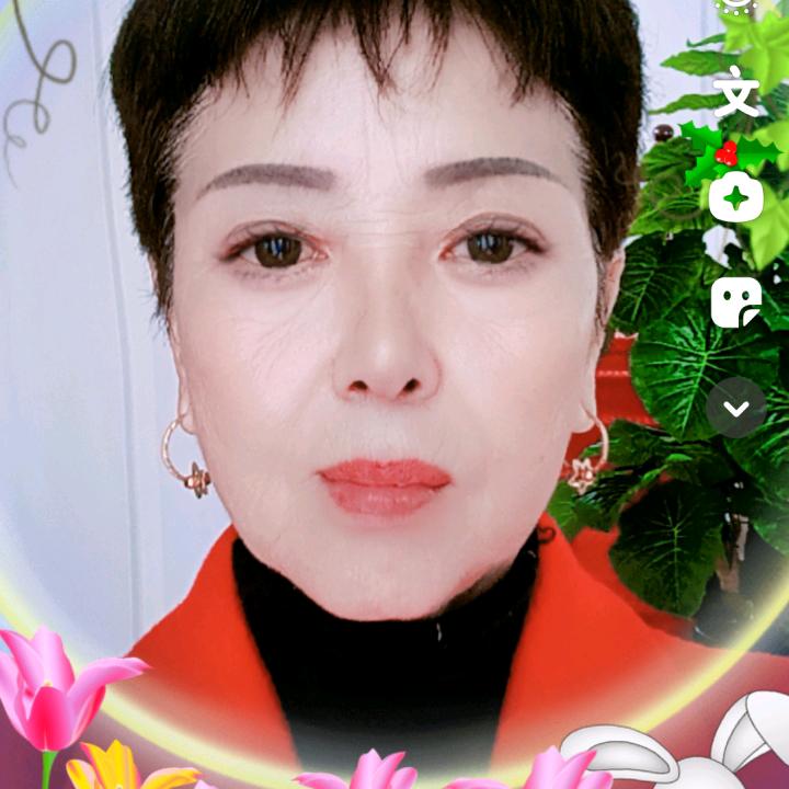 一枝梅（橱窗有好物）