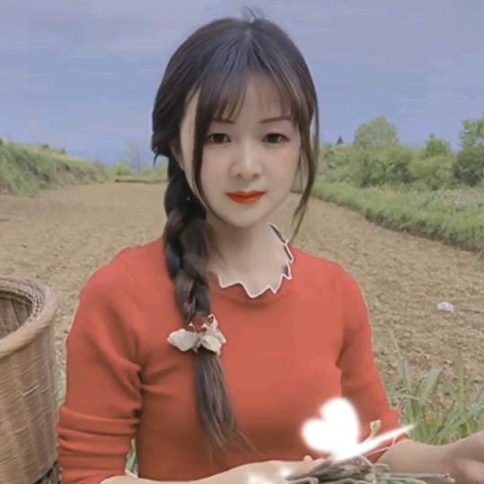 七巧妹