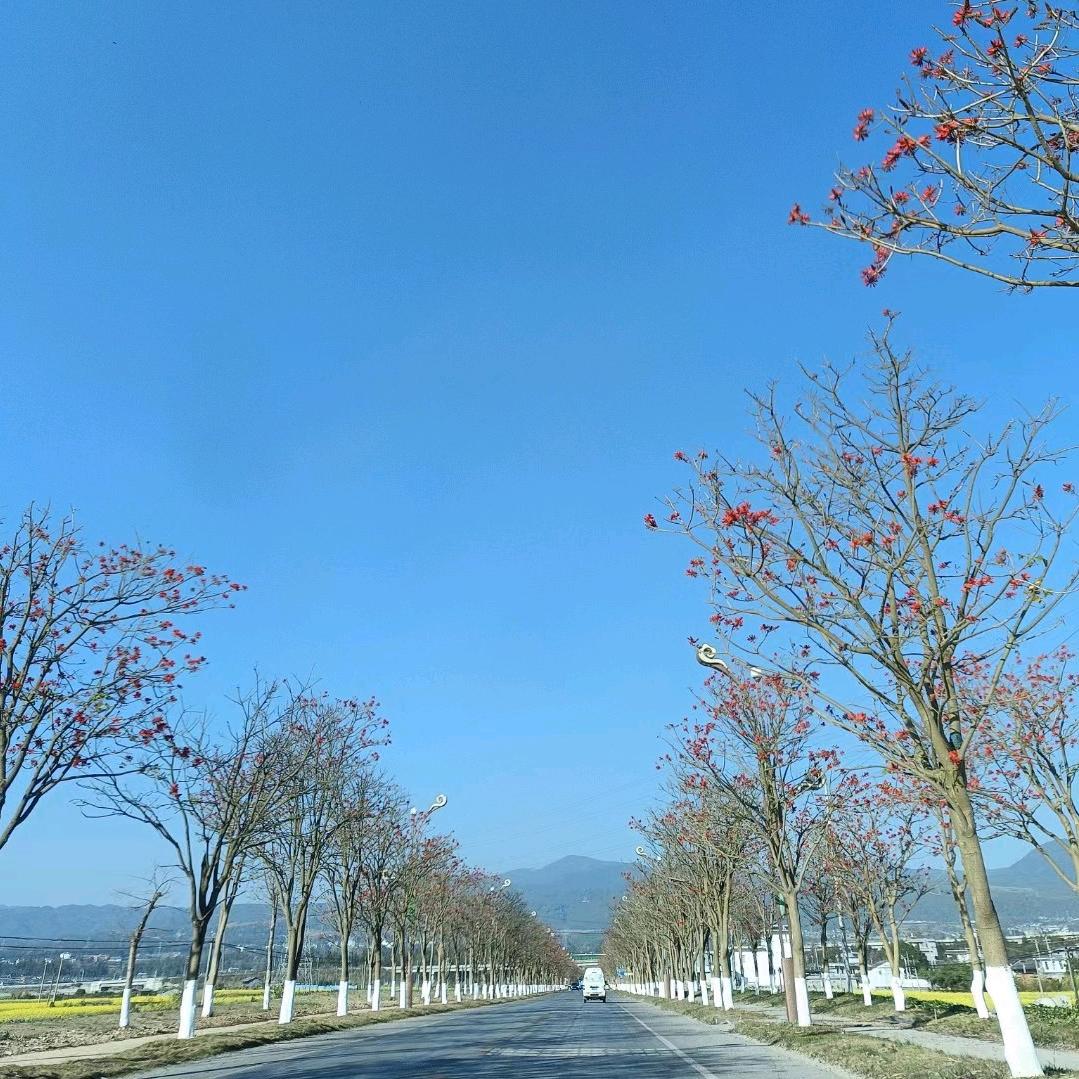 单枪匹马闯天下