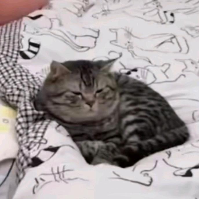 饭二✨