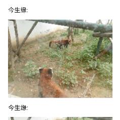 ☁忘掉过去，重新再来💎