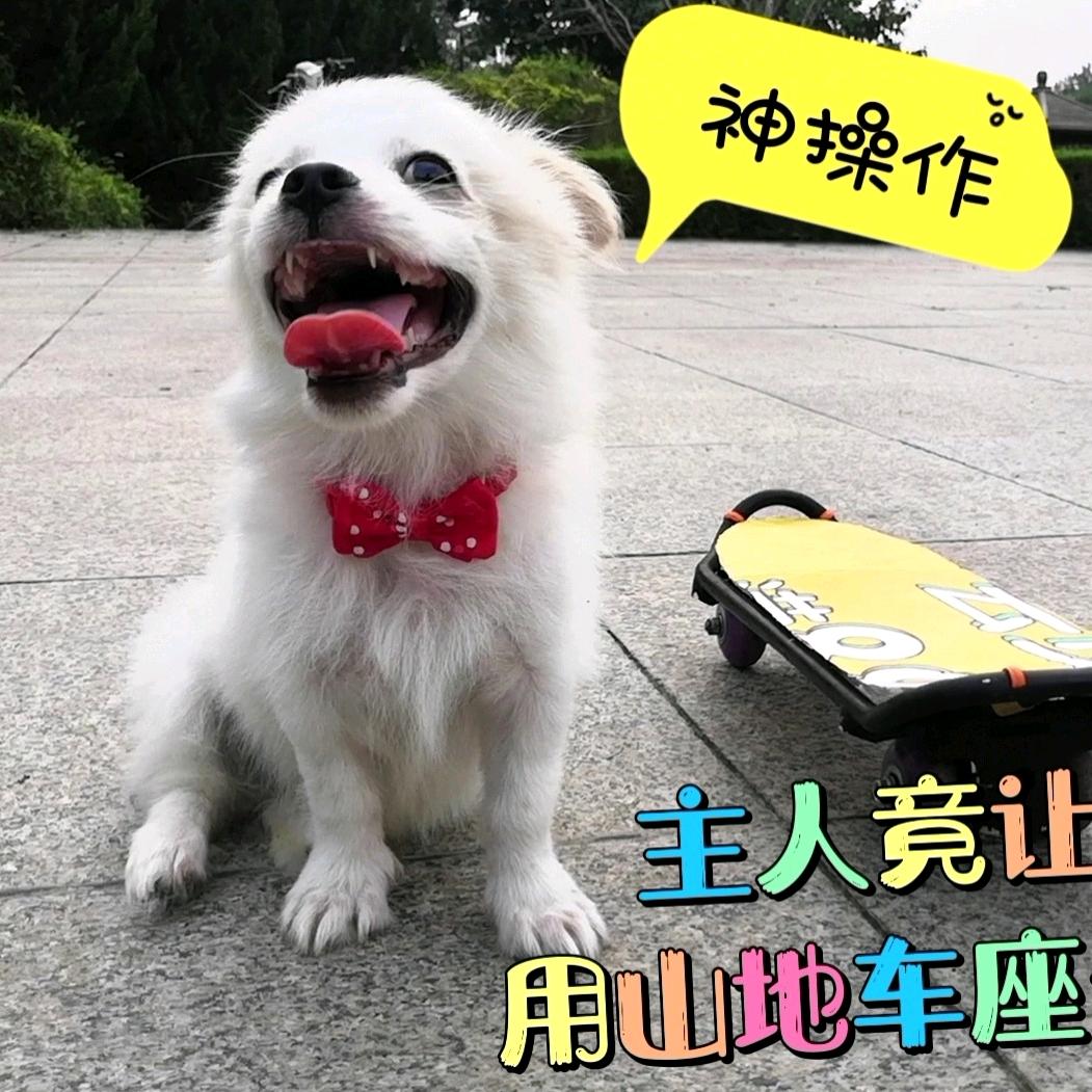 大世界钧哥