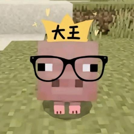 老王扩不服（我的世界）