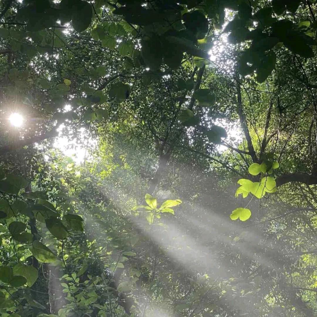 今天也要开心鸭