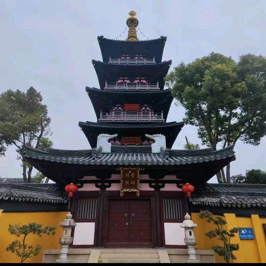 倩娃（从零起步）