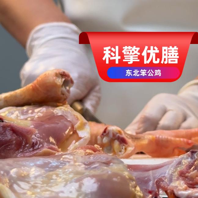 东北笨公鸡源头直供