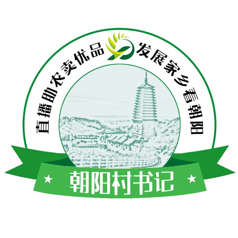 朝阳村书记