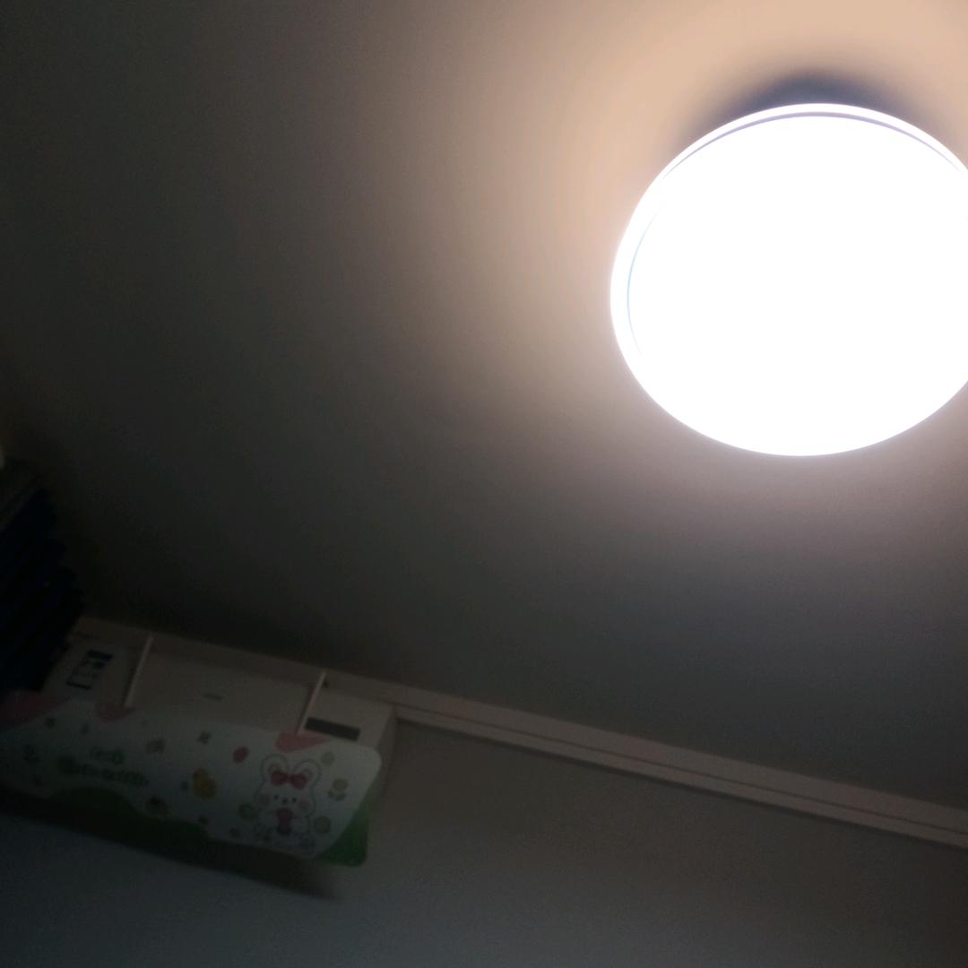 金洲玻璃桥网红茶叶店