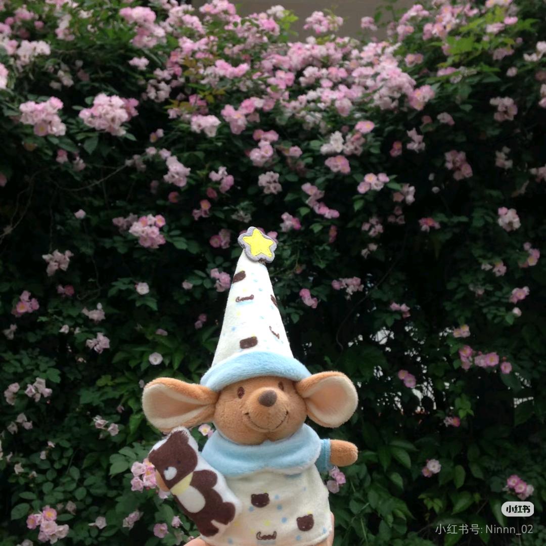 今天又是美味的一天