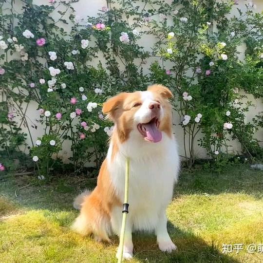 增广贤文头像
