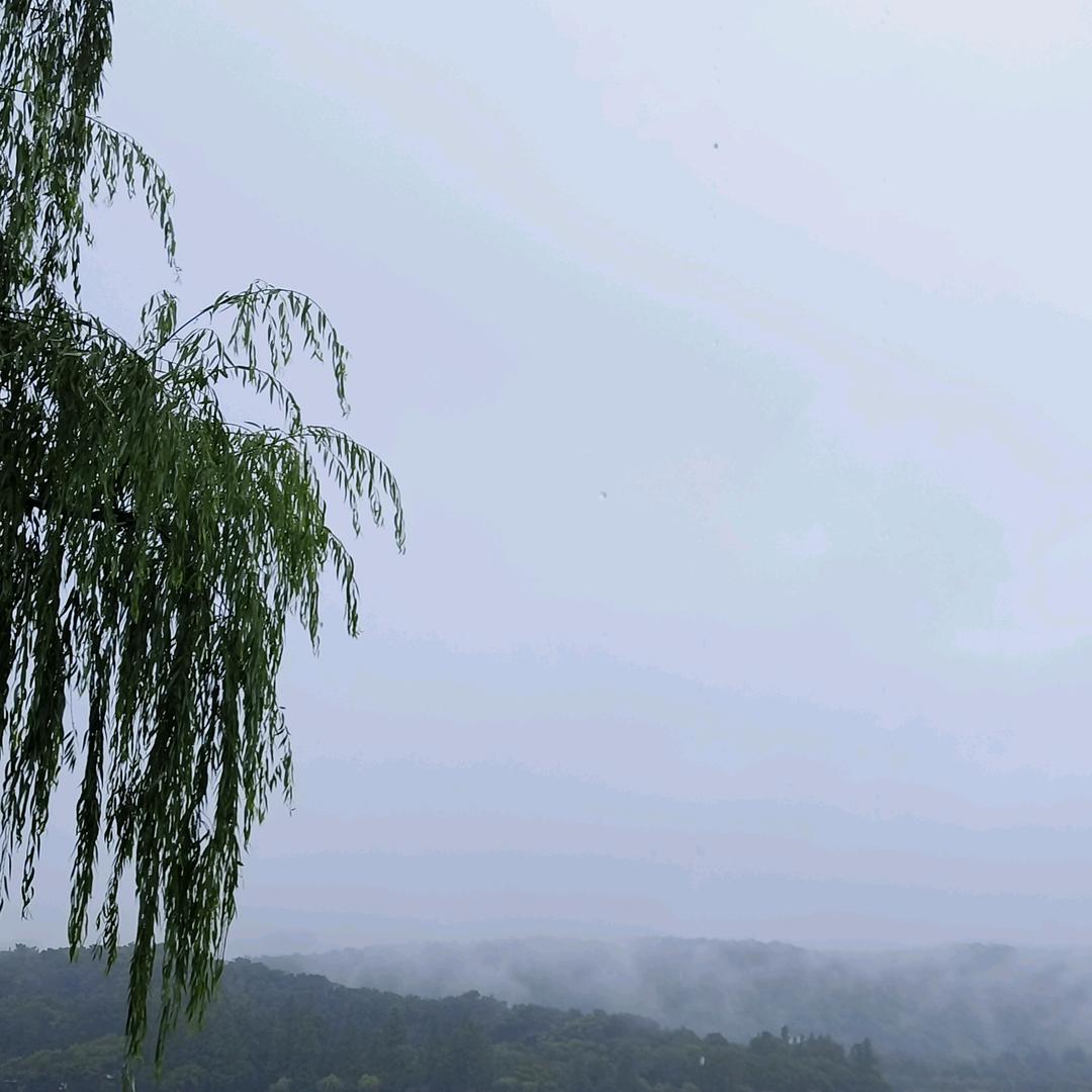 明性真我