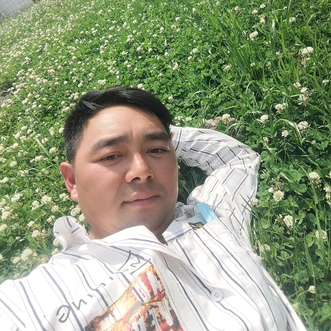 停留在你港湾