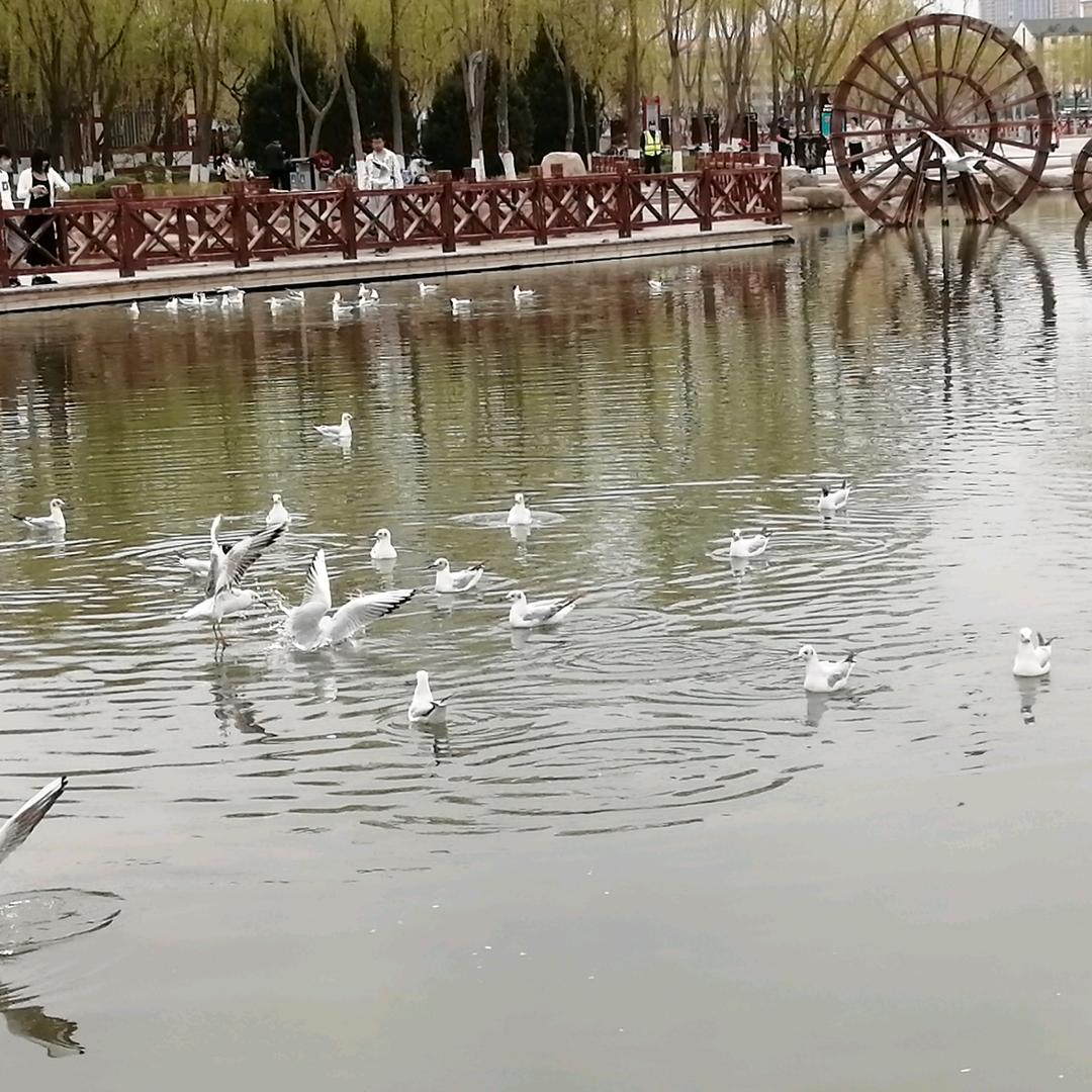 舍@得