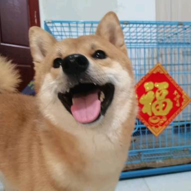 熵止