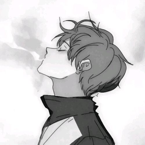 磊6691