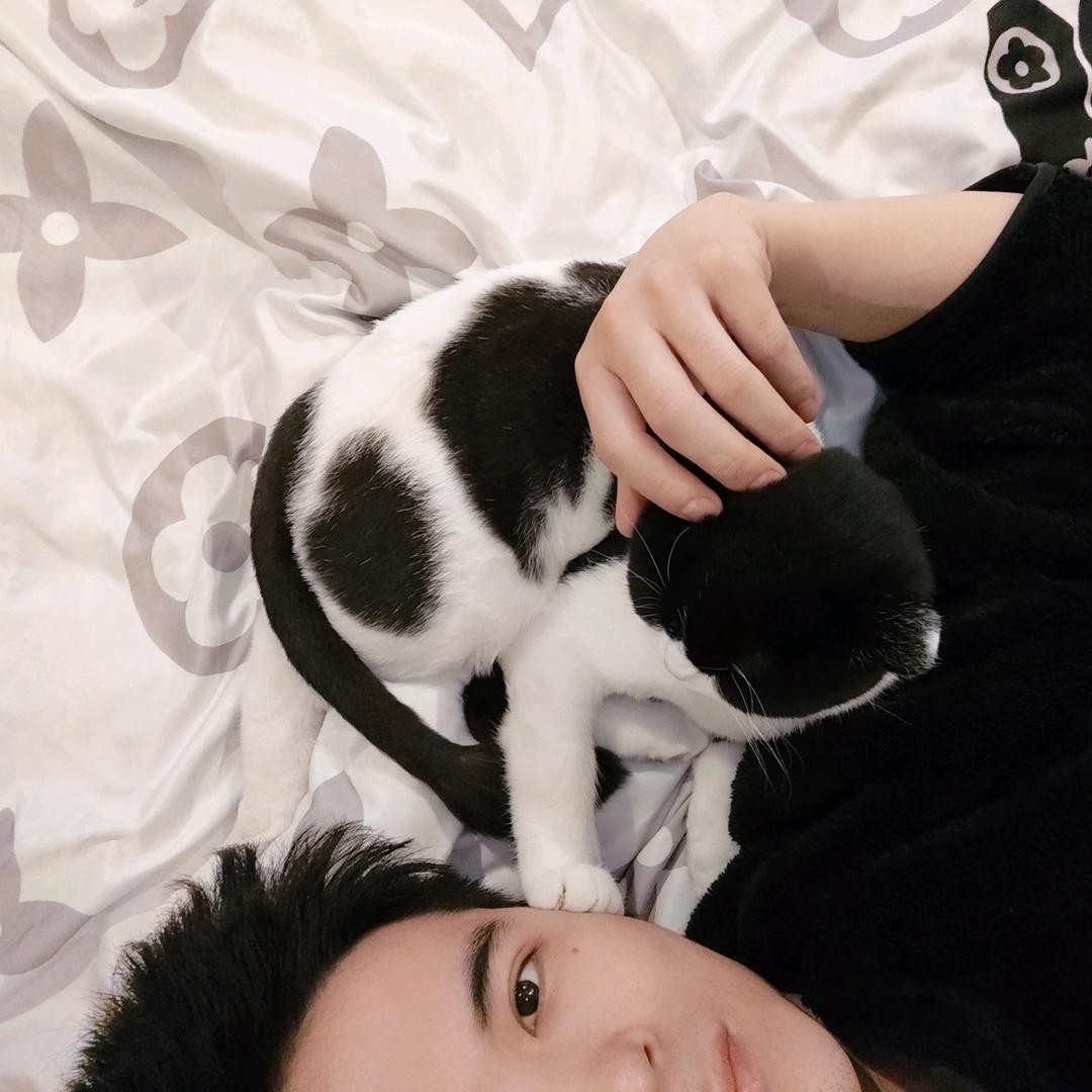 敢敢要开心