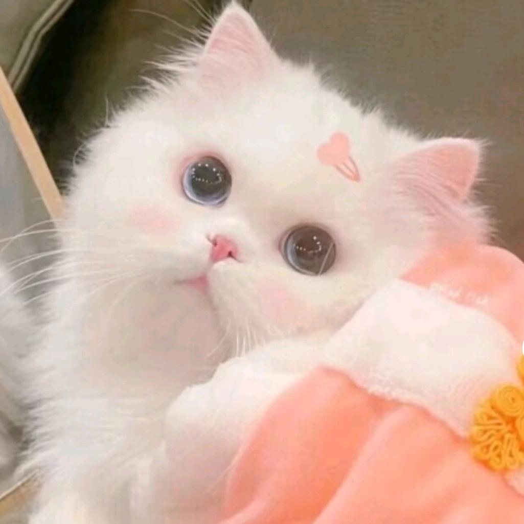 暖心 ˋˏᰔᩚˎˊ˗