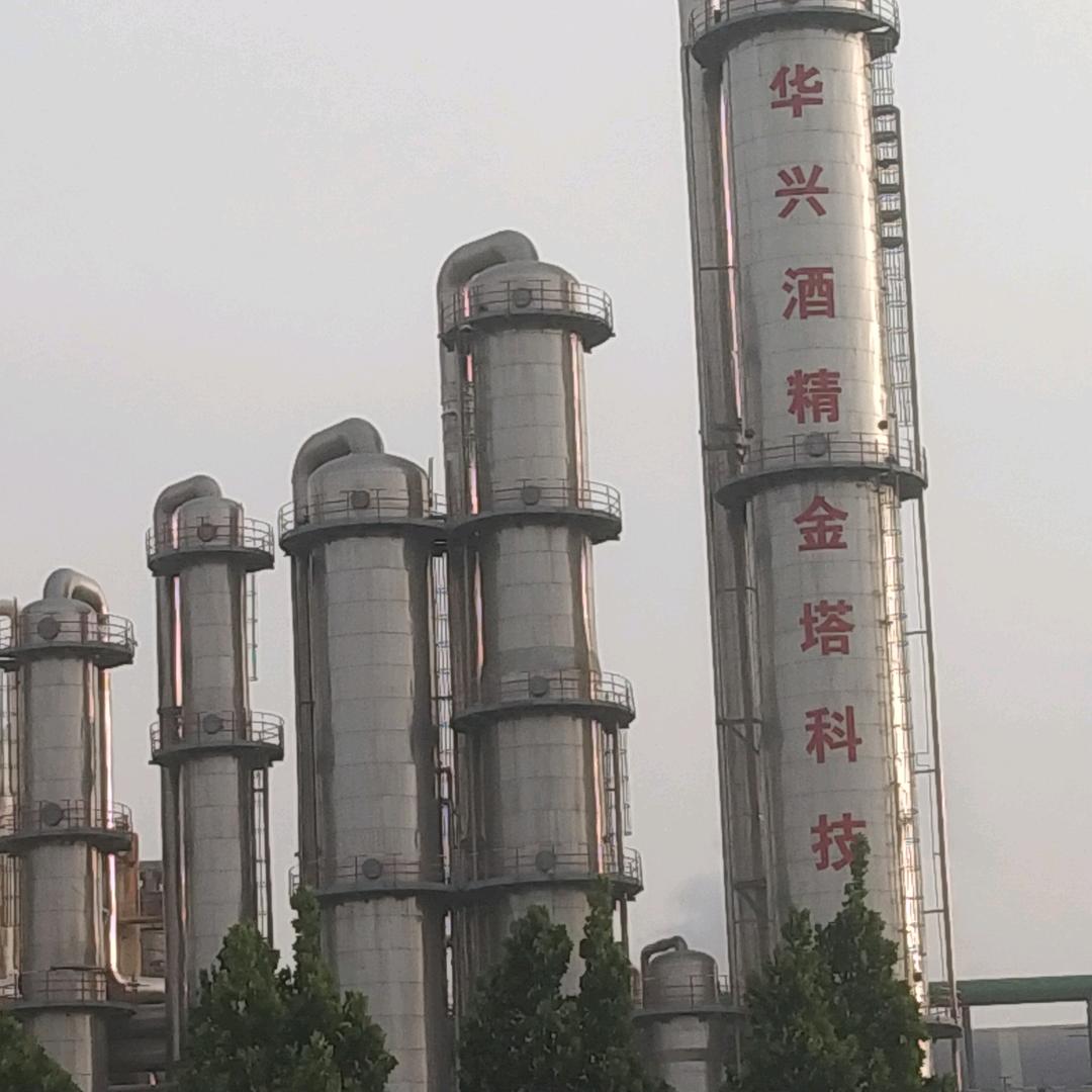 孟州玉米接货 刘焱雷