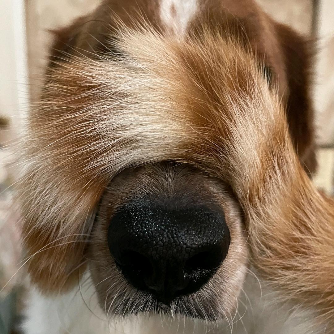 黑白灰