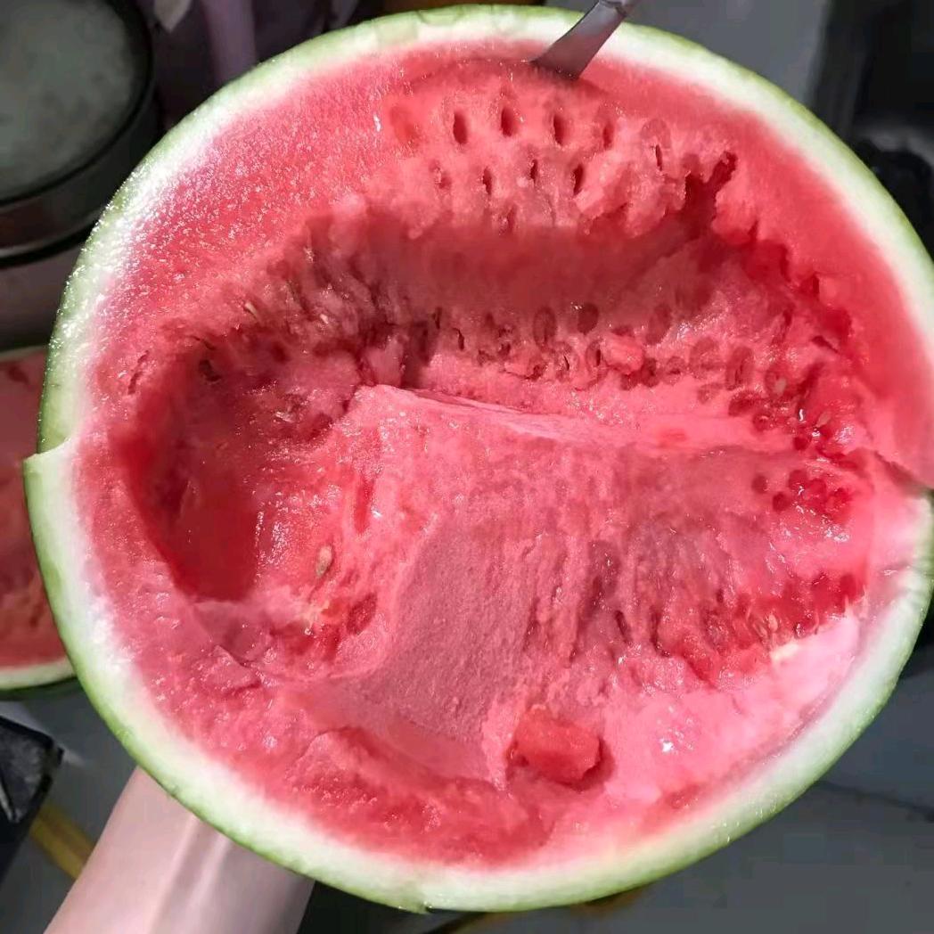 12923