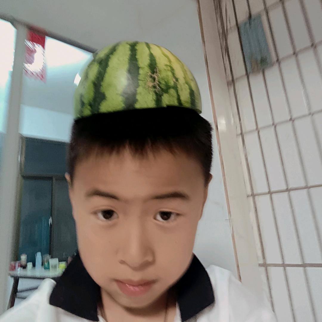 马和兔斗