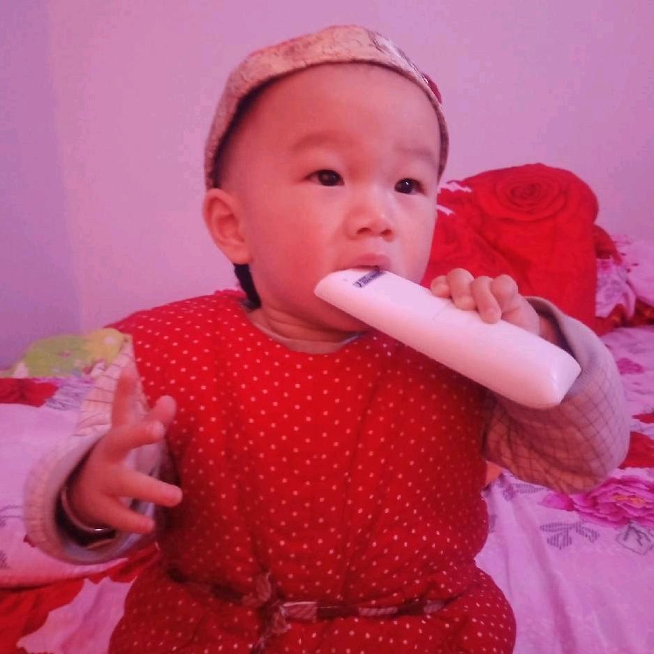 全家福