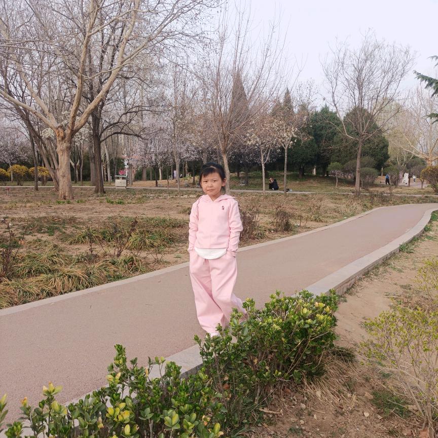小灰灰