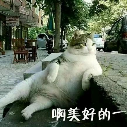 初检