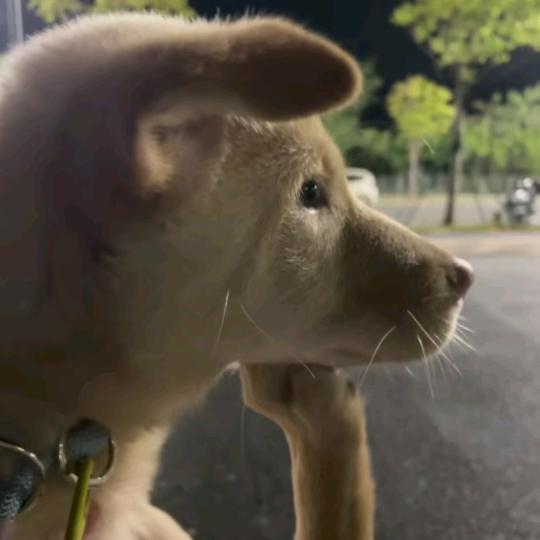 穷逼一个头像