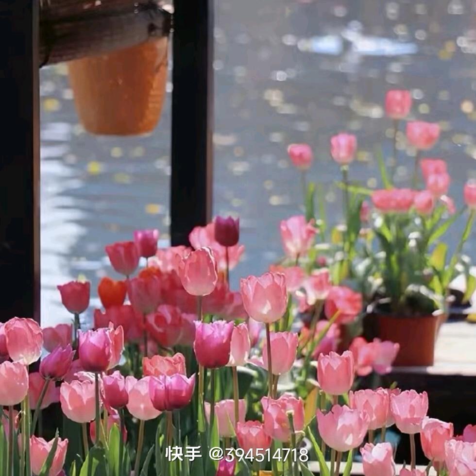 夏天
