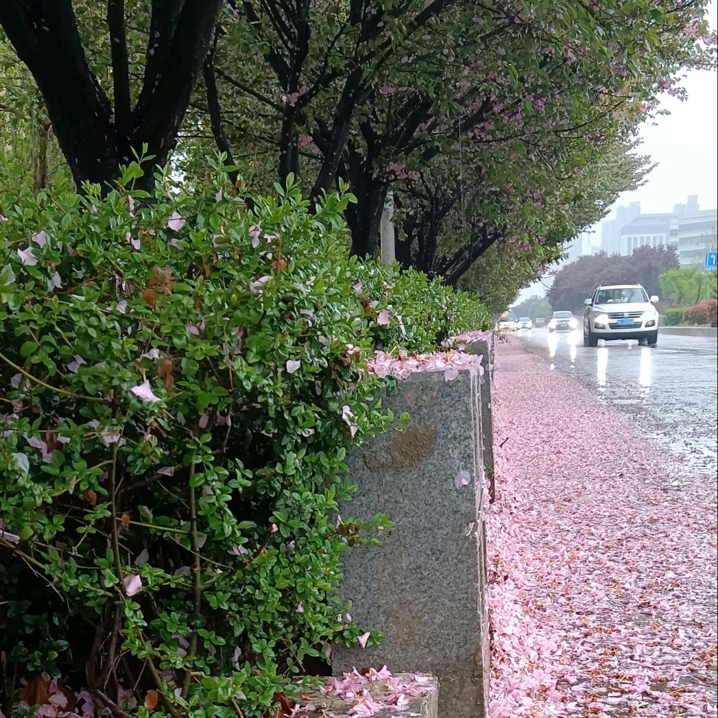 马王可日月