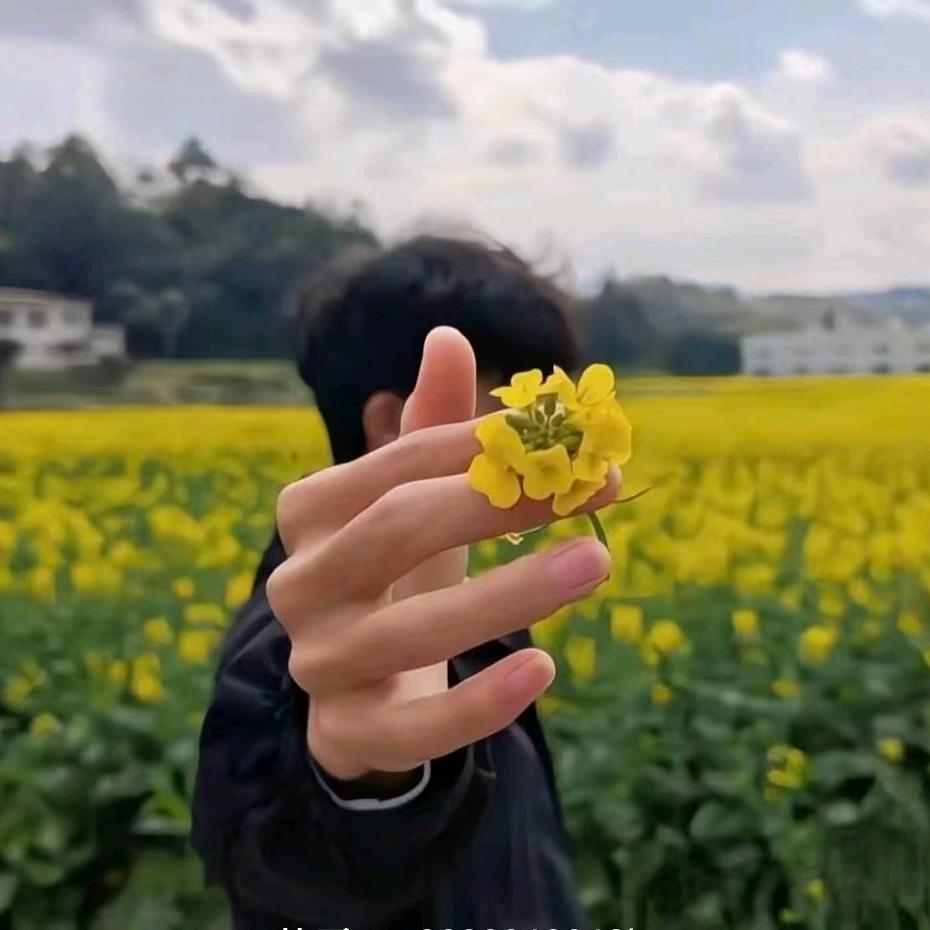 独宠