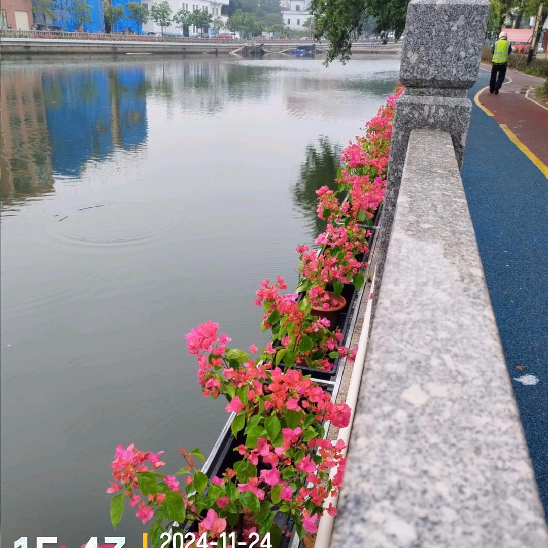 赵姐