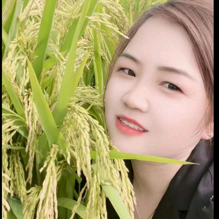 洪大洪农资