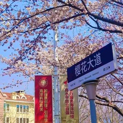 中海洋校园墙