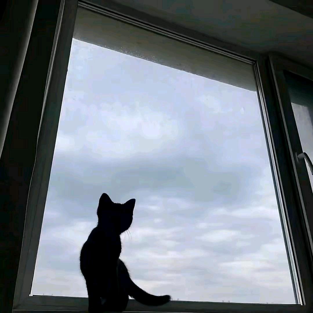 𝑩𝒓𝒆𝒆𝒛𝒆💤