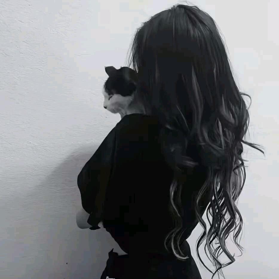 ✨晨宇优选✨