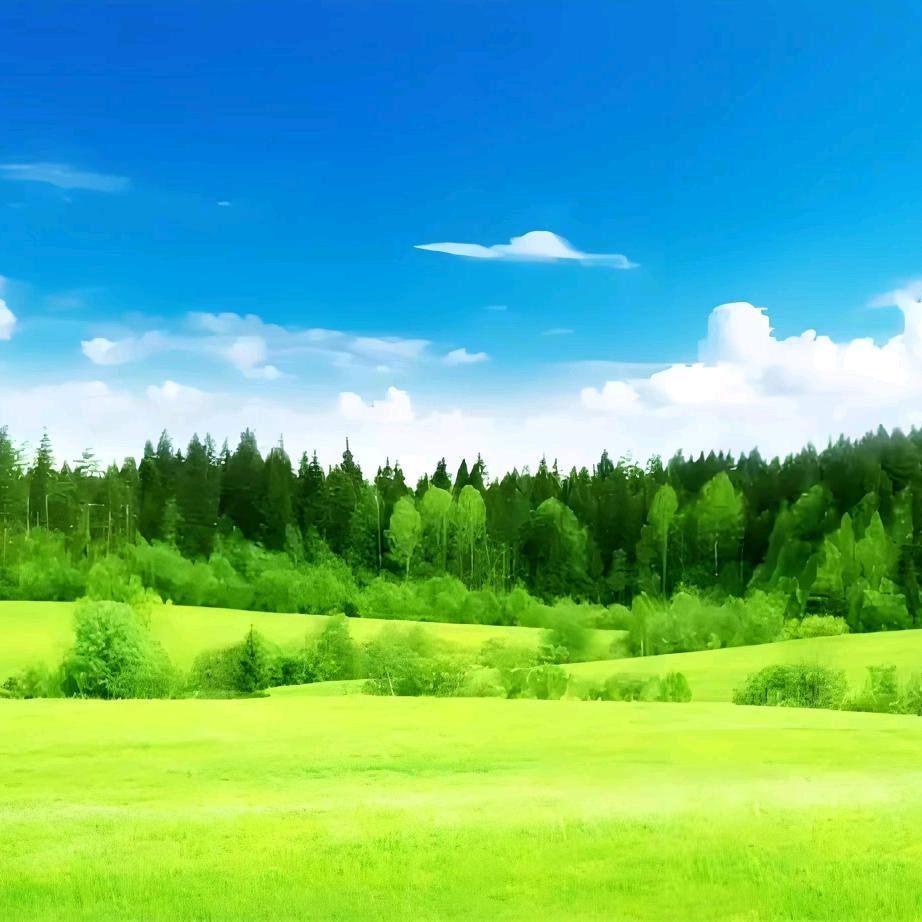 九运腾飞