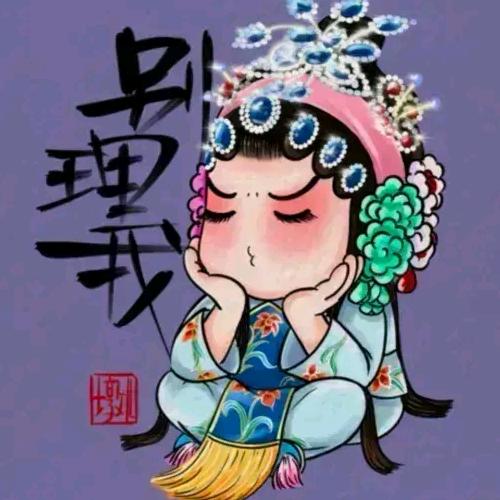 太阳花⛵