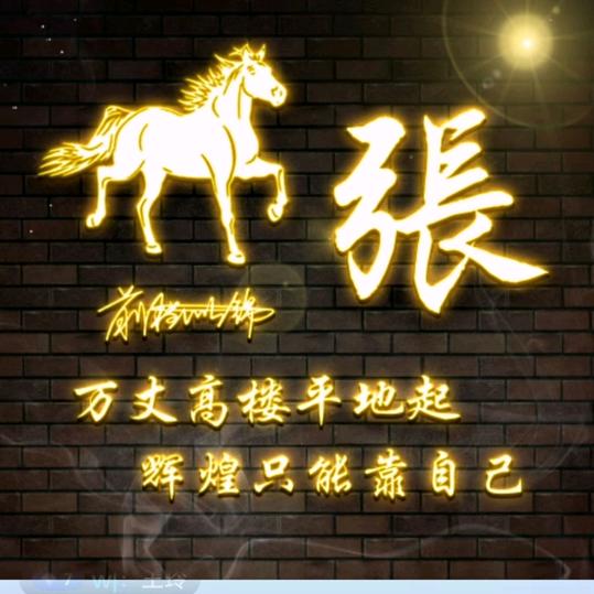 八府巡案张金龙